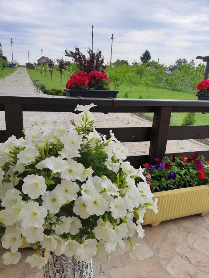 Hotel Dor De Casa Doljesti Zewnętrze zdjęcie