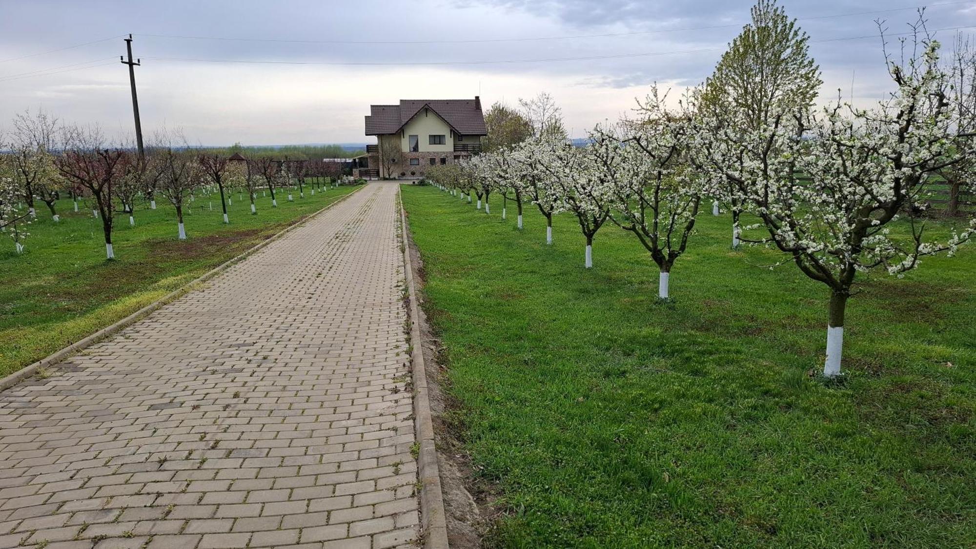 Hotel Dor De Casa Doljesti Zewnętrze zdjęcie