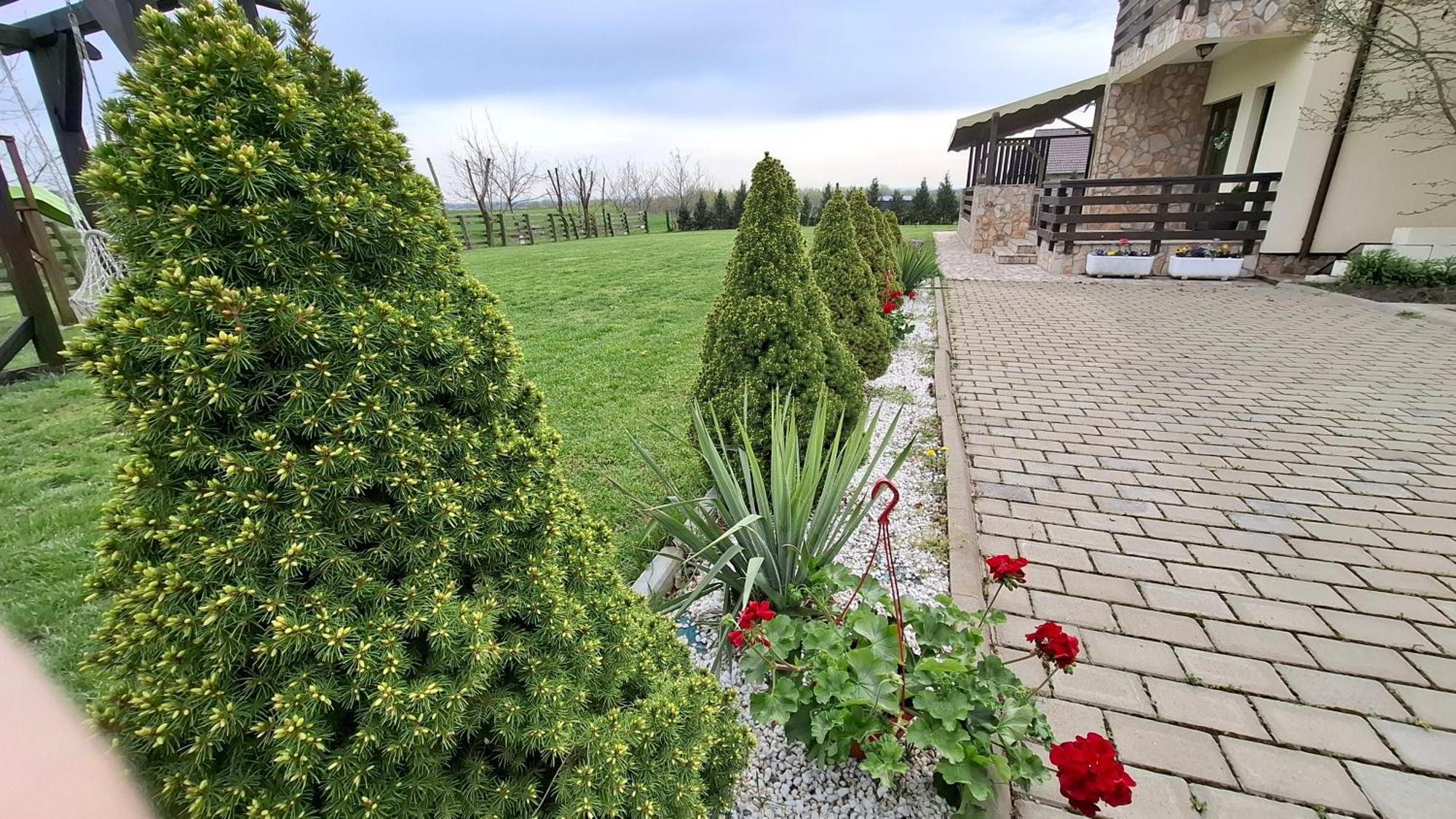 Hotel Dor De Casa Doljesti Zewnętrze zdjęcie